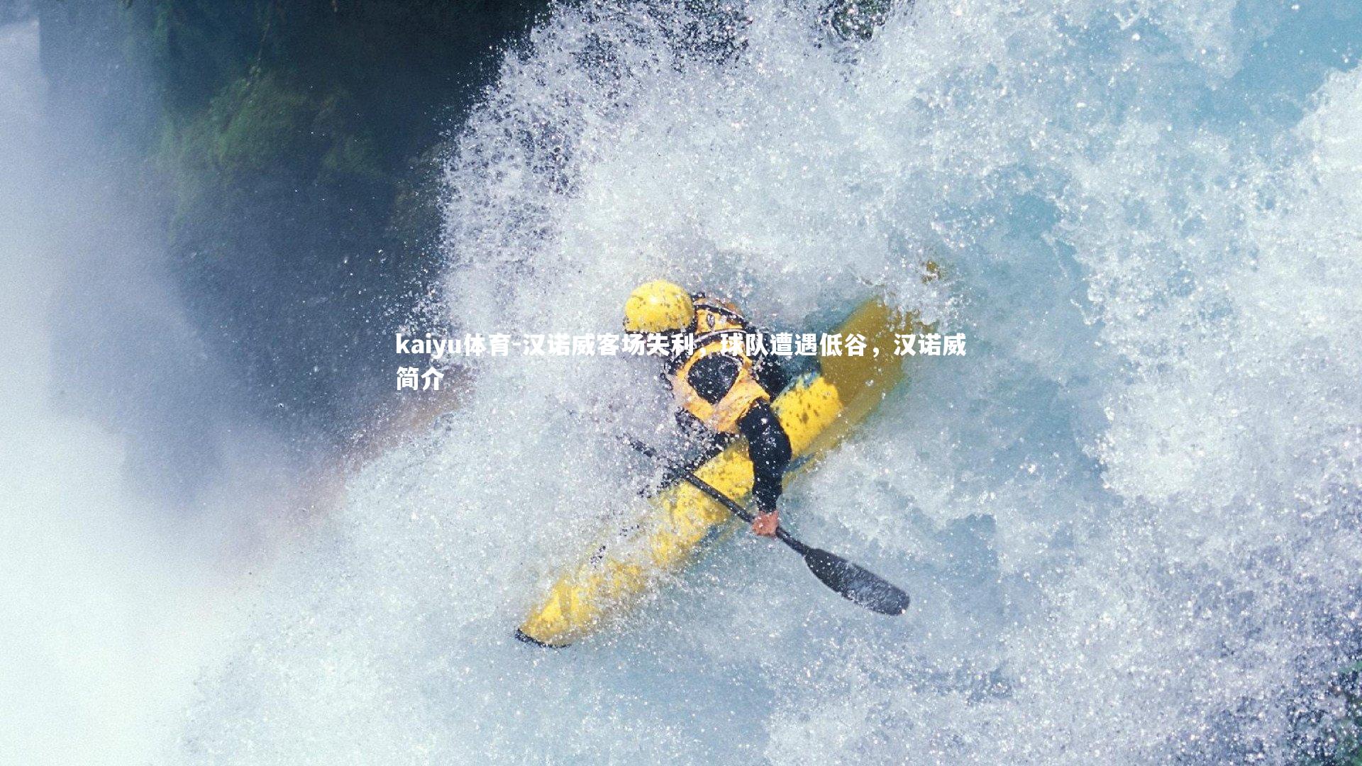 汉诺威客场失利,球队遭遇低谷,汉诺威简介