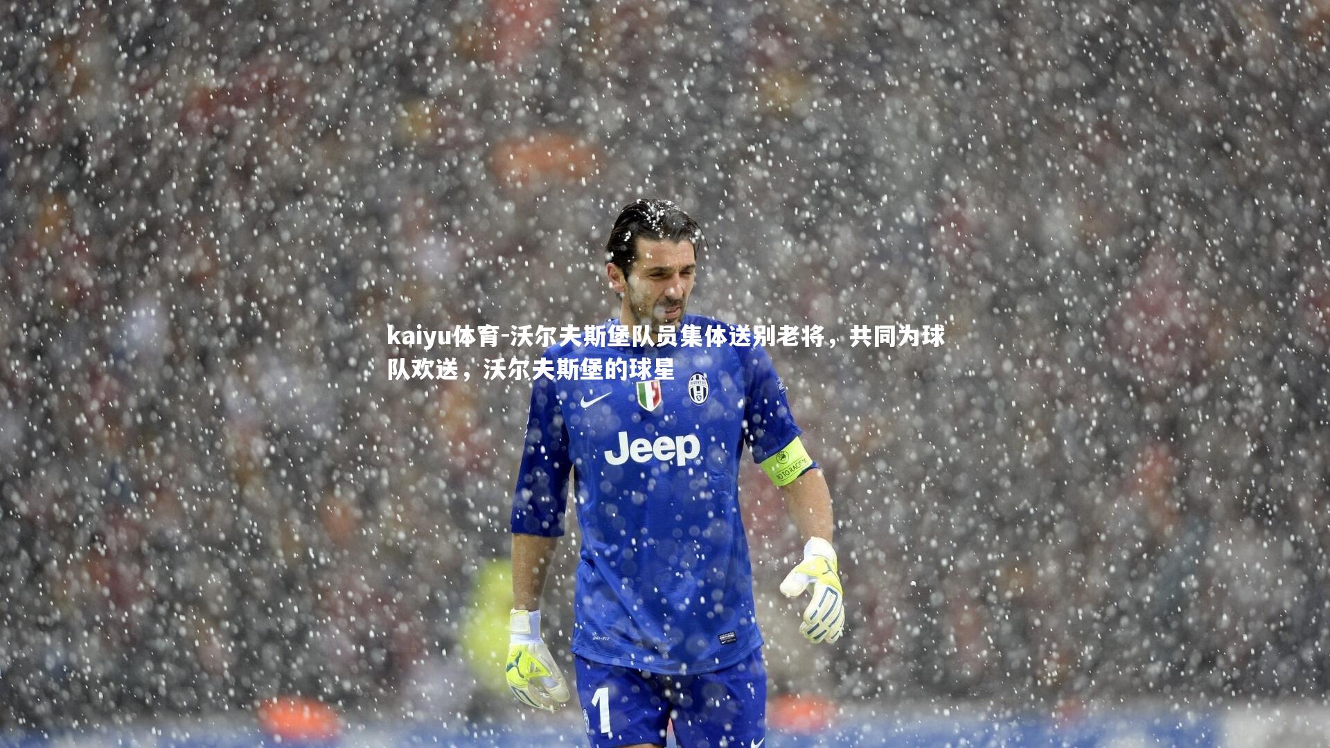 沃尔夫斯堡队员集体送别老将,共同为球队欢送,沃尔夫斯堡的球星