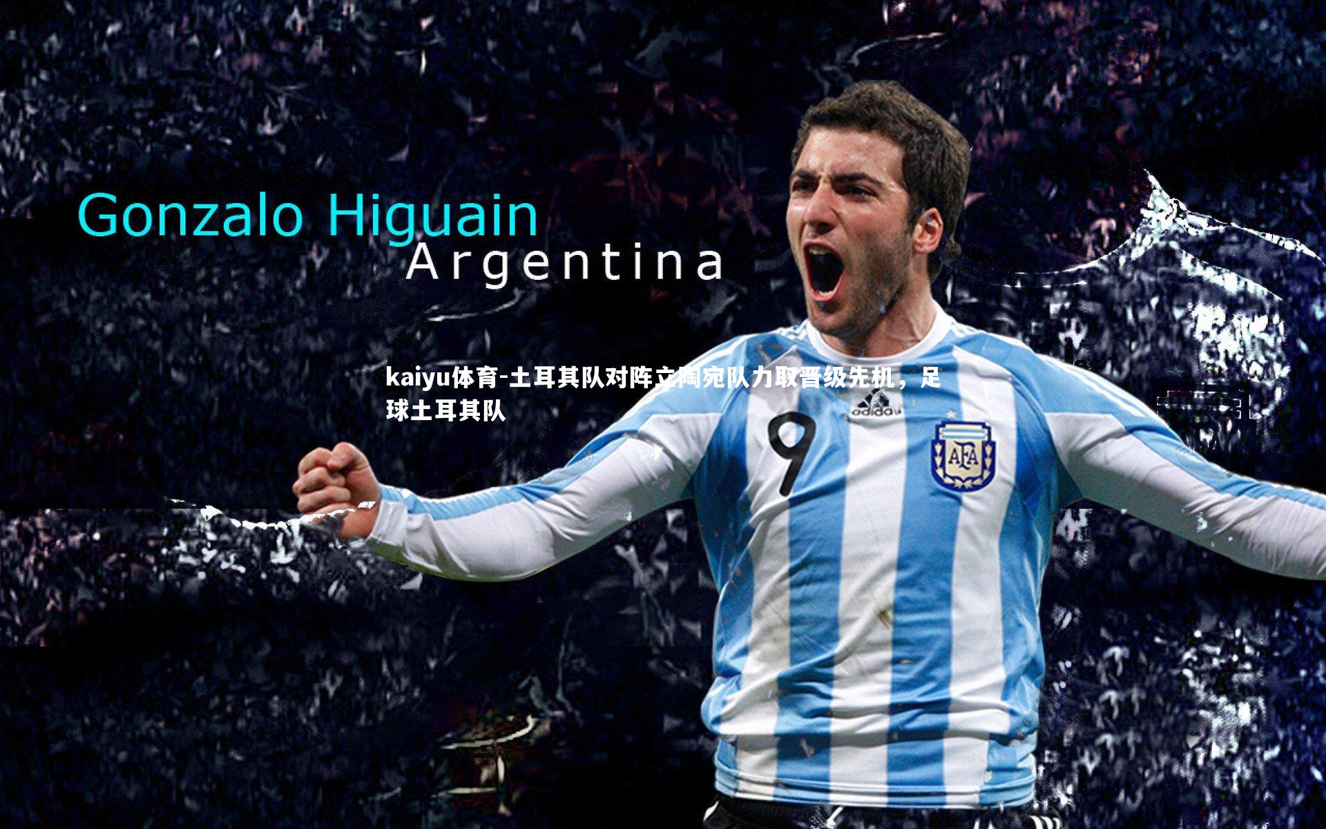 土耳其队对阵立陶宛队力取晋级先机，足球土耳其队