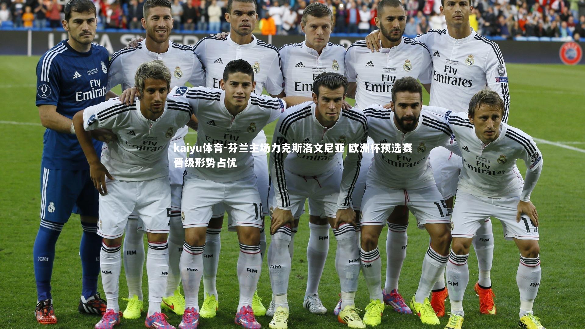 芬兰主场力克斯洛文尼亚 欧洲杯预选赛晋级形势占优